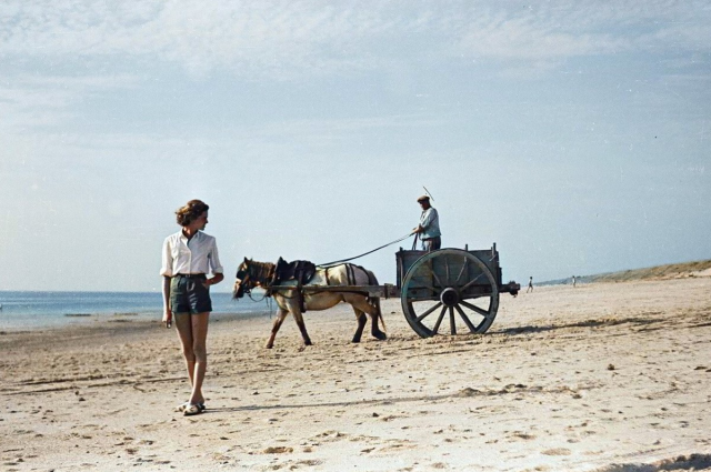 Сборщик водорослей. Франция, 1951 год.