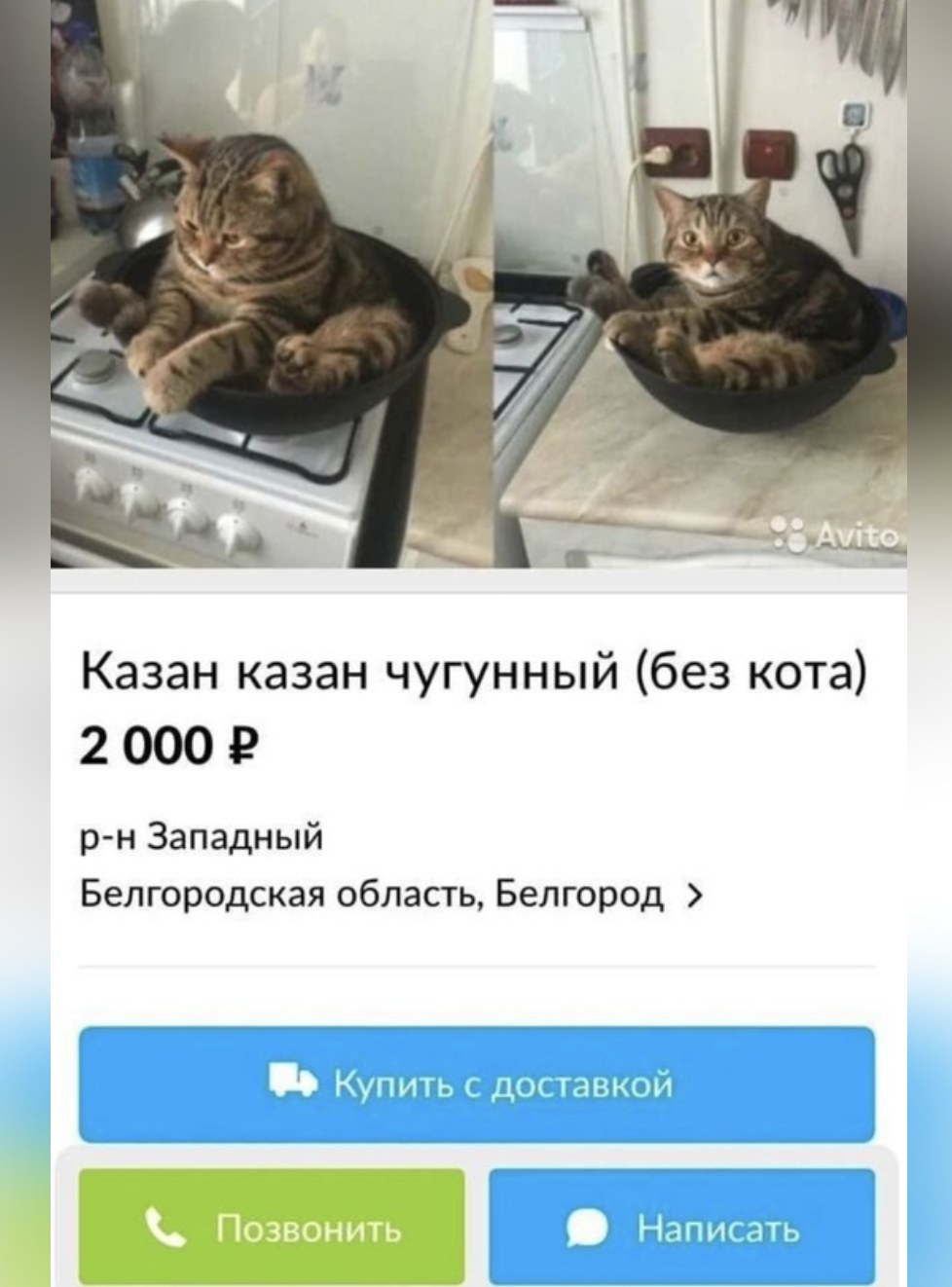 2. Без кота не возьмем