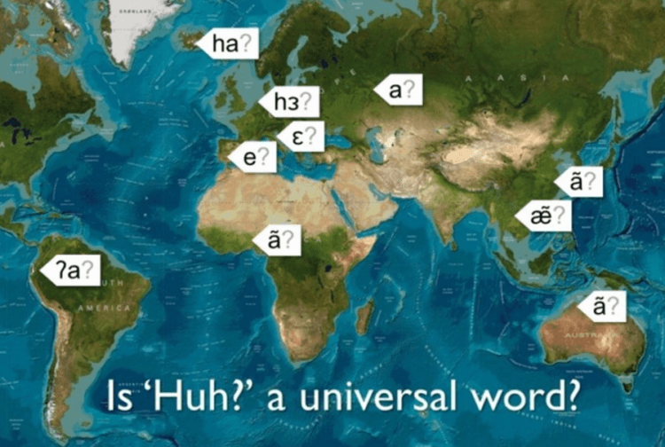 Почему слово «а?» стало универсальным? Слово «а?» люди произносят на разных континентах, но точная причина его универсальности пока неизвестна. Источник: news2day.ru. Фото.