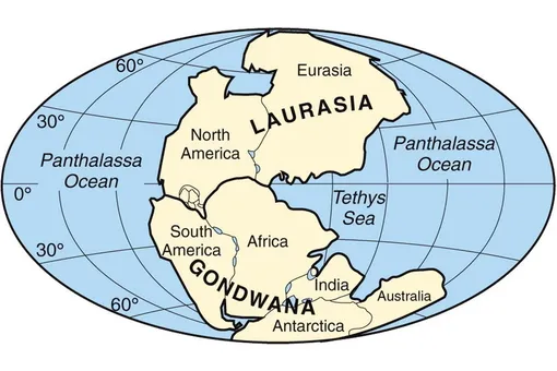 Лавразия и Гондвана суперконтиненты